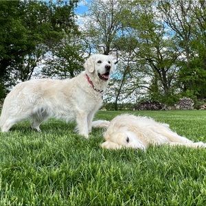 Meet your Posher, Kyleen